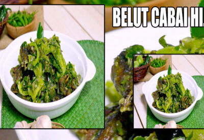 Belut Cabai Hijau